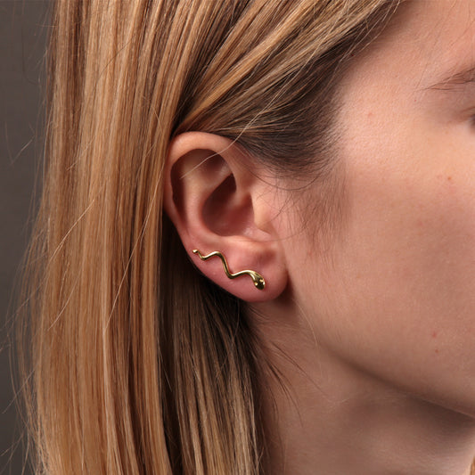 Pendientes Plata 925 Trepadores