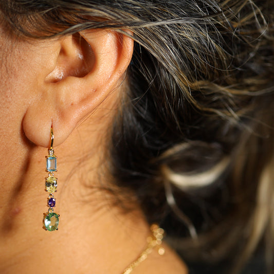 Multicolor Fantasy Earrings