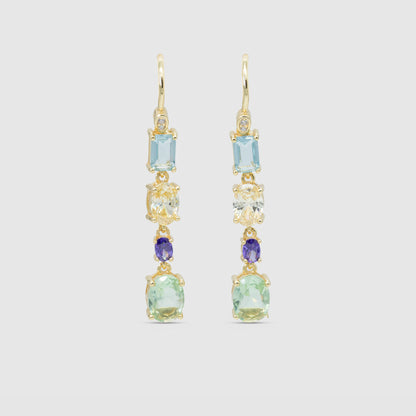 Multicolor Fantasy Earrings